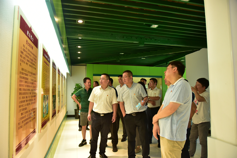 市政分公司黨總支、合肥市重點(diǎn)局直屬黨委第二黨支部聯(lián)合開(kāi)展主題黨日活動(dòng)3