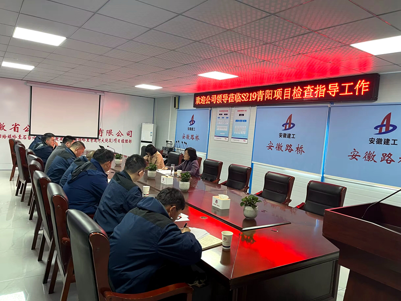 公司黨委委員、紀(jì)委書記王鵬到S219青陽改建項(xiàng)目調(diào)研指導(dǎo)工作